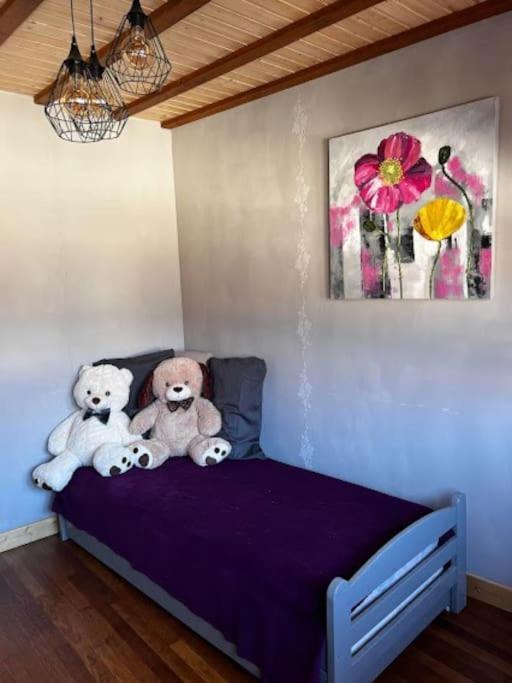 Le Passage Du Faubourg, Agreable T3 En Duplex De 120M2 Daire Saint-Léonard-de-Noblat Dış mekan fotoğraf