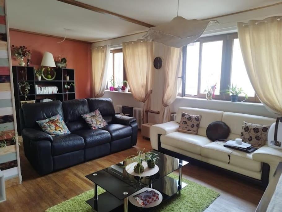 Le Passage Du Faubourg, Agreable T3 En Duplex De 120M2 Daire Saint-Léonard-de-Noblat Dış mekan fotoğraf